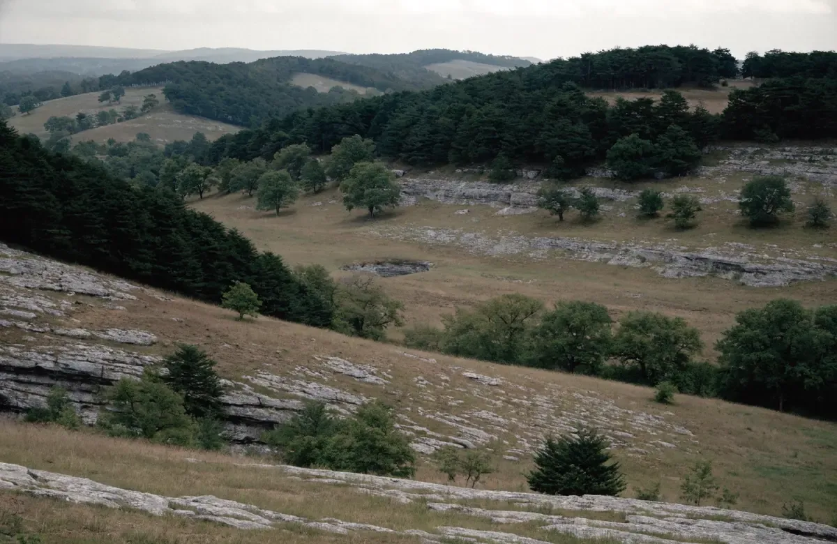 Thin pasture over shallow soil with gray fractured limestone ledges breaking the surface across rolling hills in the Missouri Ozarks